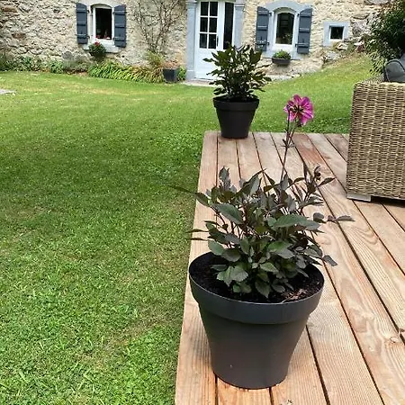 Le Domaine De Castille - Pyreneen De Charme - De Nage *