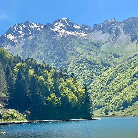 Villa Le Domaine De Castille - Pyrénéen De Charme Arrens-Marsous